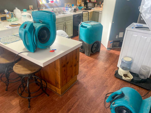 Best Ceiling water damage repair  in Bluffton, IN