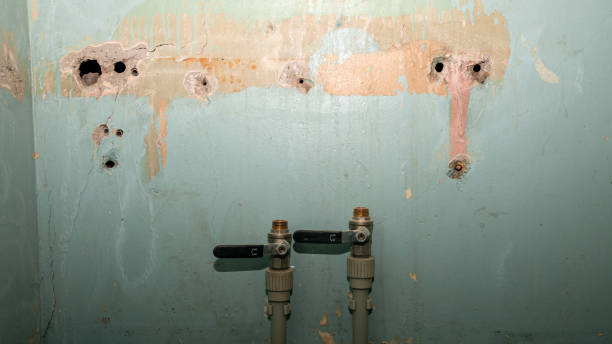 Best Commercial water damage restoration  in Bluffton, IN