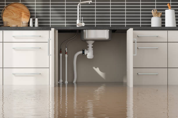 Best Residential water damage restoration  in Bluffton, IN
