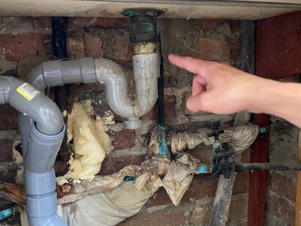 Best Water damage cleanup near me  in Bluffton, IN