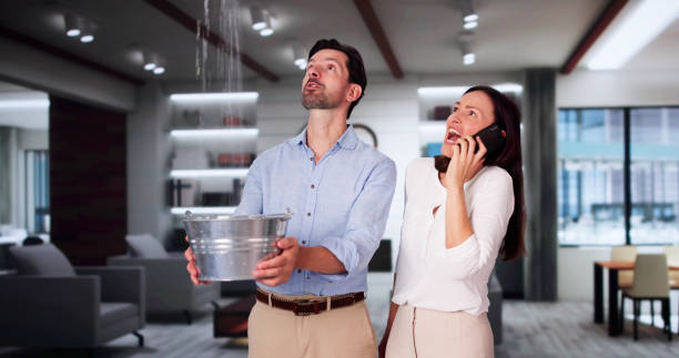 Best Ceiling water damage repair  in Bluffton, IN