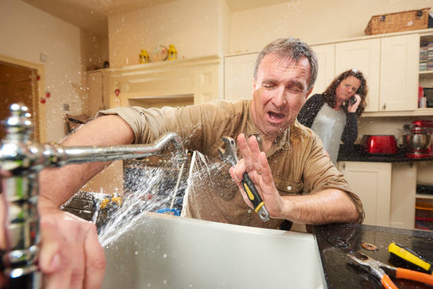 Best Professional water damage repair  in Bluffton, IN